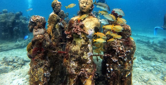 Cancun: Intro Scuba Diving at MUSA Underwater Museum & Reef
