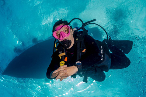 Cancun: Mergulhando em um navio afundado (Certified Divers)