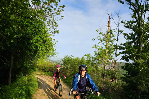 Tbilisi Bike Tour: Peace Bridge, Old Town & Sameba Views