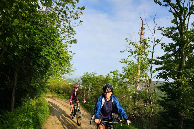 Tbilisi Bike Tour: Peace Bridge, Old Town & Sameba Views