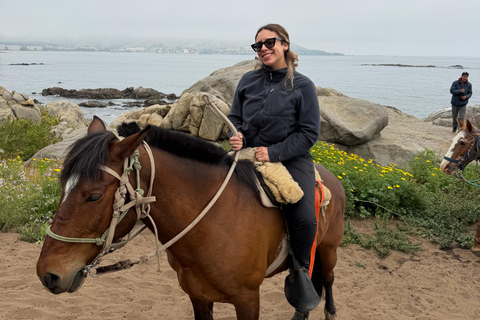 From Santiago: Papudo Horseback Ride & Penguin Watching