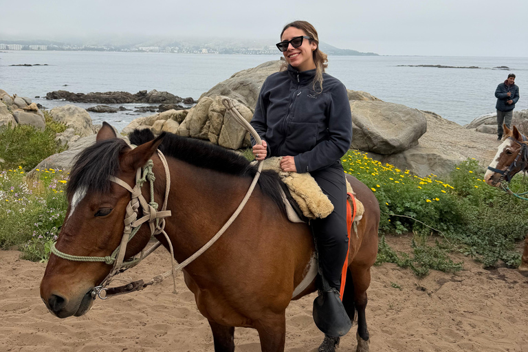 From Santiago: Papudo Horseback Ride & Penguin Watching