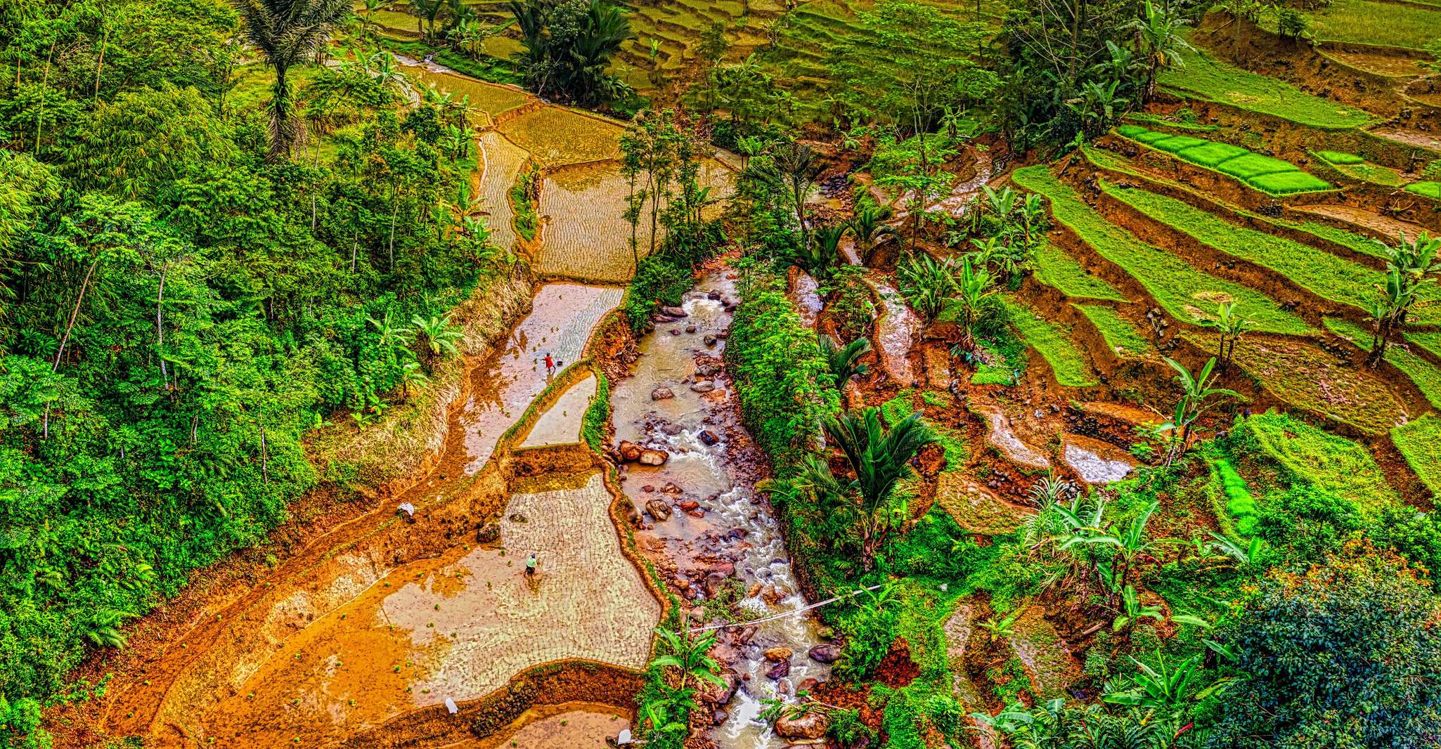 yogyakarta, Selogriyo, Marvel Amidst Java's Lush Terraces - Housity