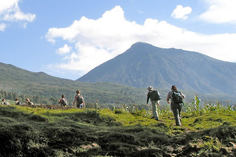 Mount Bisoke Wanderung im Volcanoes National Park