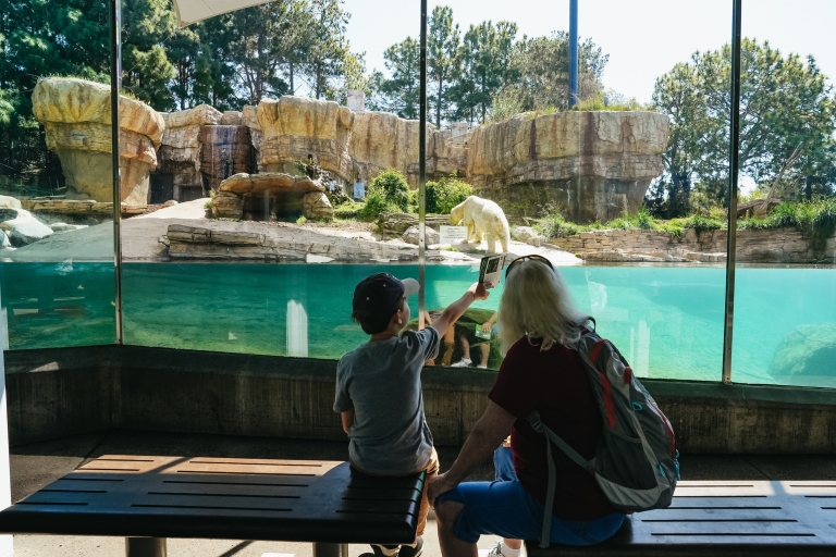 Zoo de San Diego : billet 1 jour