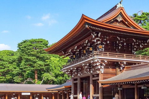 Visite personnalisable de Tokyo avec chauffeur et transport personnel