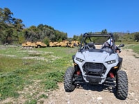 Kremasti, 4x4 Polaris Buggy Off-Road Adventure - Housity