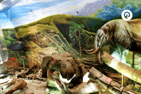 Surakarta : Full-Day Highlights Tour – All Inclusive Surakarta : Full-Day Highlights Tour - All Inclusive