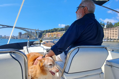 Porto: Luxury Yacht Tour of the 6 Bridges and Douro Estuary Sunset Tour