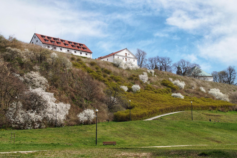 وارسو: جولة ماري كوري-سكلودوفسكا مع متحف اختياريساعتين: جولة ماري كوري