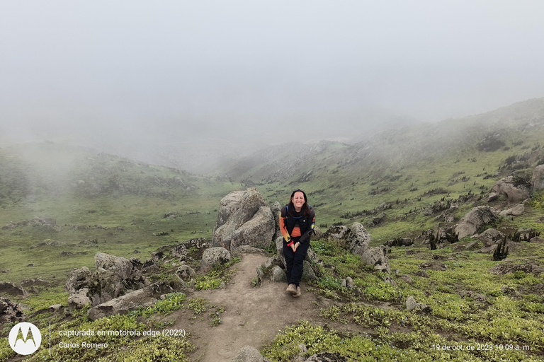 Vandring i Lomas de Lachay i Lima