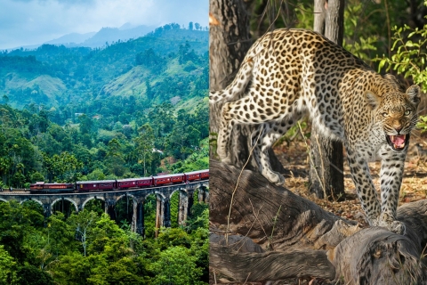All Inclusive Ella Scenic Train Journey mit Yala Safari