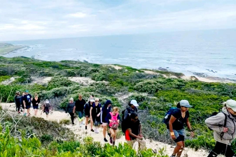 Senderismo Costero Sendero Sacramento: Puerto Elizabeth