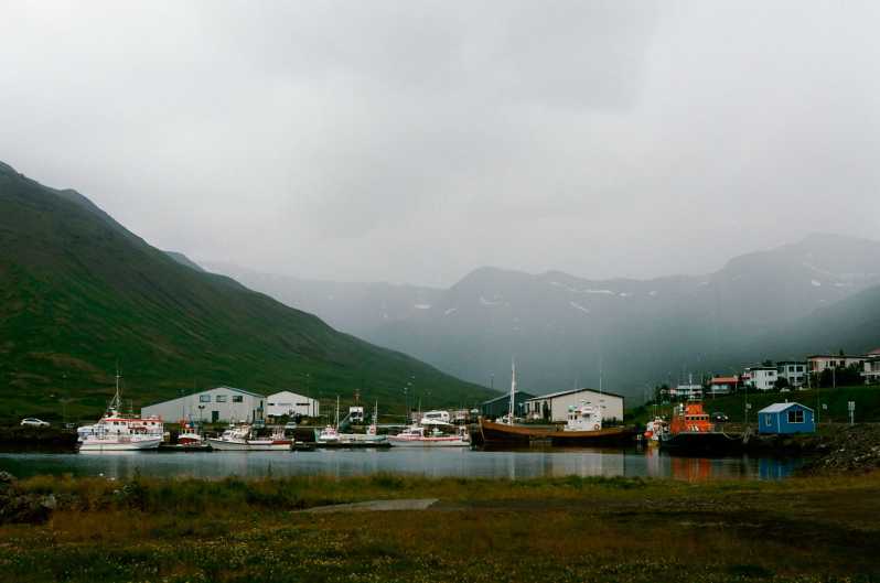 From Ísafjörður Port: Private Ísafjörður Tour