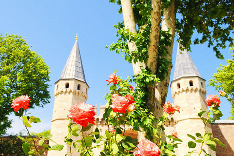 Topkapi Palace Guided Tour with Harem & Skip-the-Line Entry