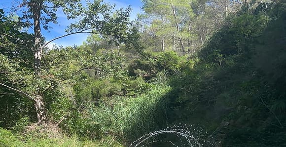 From Valencia: Montanejos Thermal Spring & San Jose Cave
