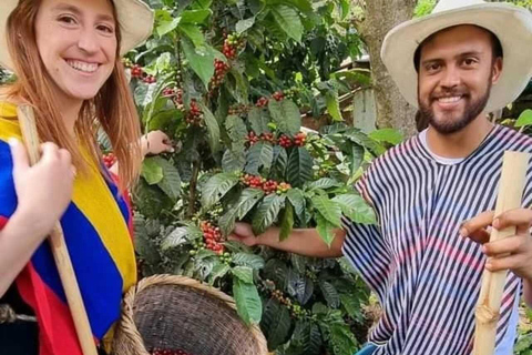 FROM BOGOTA: Coffee Tour in Choachí, An Authentic and Aromatic Adventure.