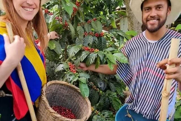 FROM BOGOTA: Coffee Tour in Choachí, An Authentic and Aromatic Adventure.