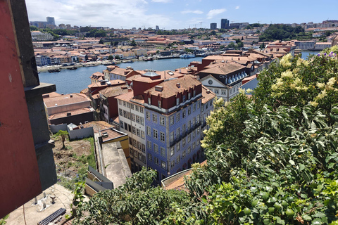 Porto: Walking Tour Highlights with Local Guide (smallgroup) Porto: Walking Tour with Local guide (Private)