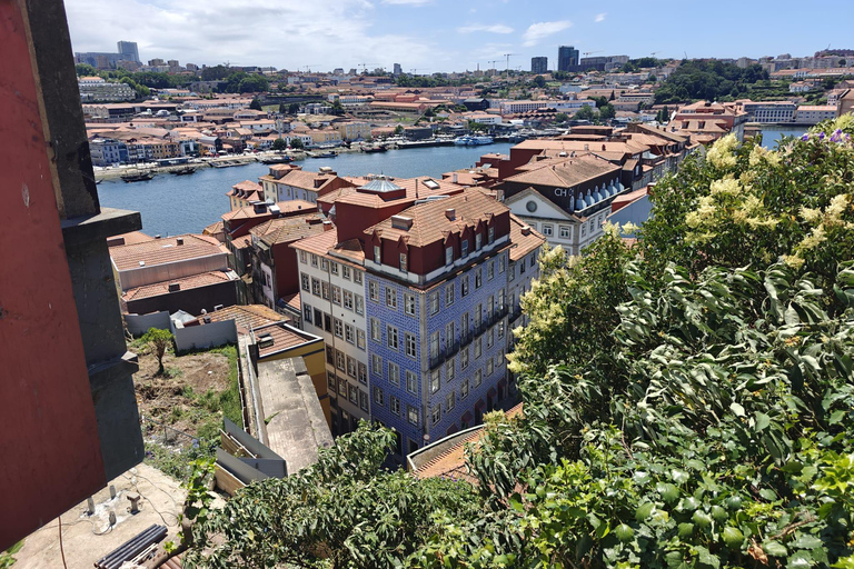 Porto: Walking Tour Highlights with Local Guide (smallgroup) Porto: Walking Tour with Local guide (Private)