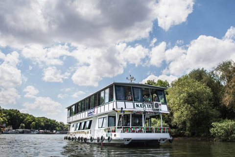 Belgrado: Crociera turistica guidata sui fiumi Danubio e Sava