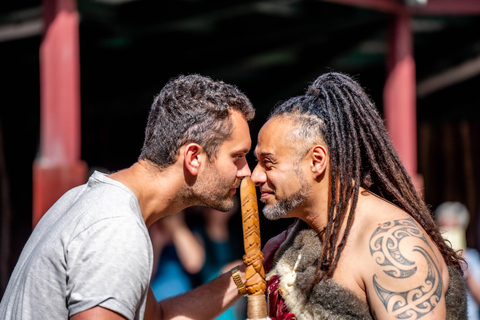 Desde Auckland Te Pā Tū Pueblo Maorí Tour Privado de un Día