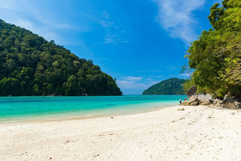 Phuket ou Khao Lak : Excursion d'une journée aux îles Surin et au village Moken