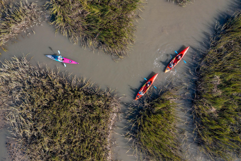 Charleston : Excursion en kayak sur la rivière FollyKayak assis simple