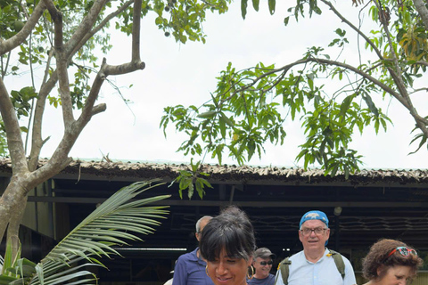 Max 14: Discover Cu Chi Tunnels System & Mekong Delta Private Group Tour