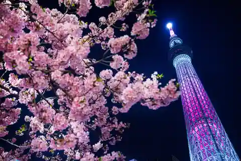 Tokyo Night Magic: Luxury Car Tour with Convenient Pickup