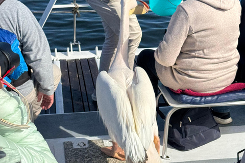 Walvis Bay: 4-Day Desert, Ocean, and Adventure Tour