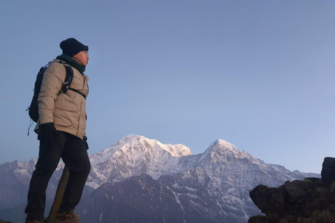 Pokhara: Schneller Mardi Himal Trek