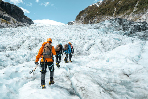 Depuis Christchurch : TranzAlpine &amp; visite en bus à Franz Josef