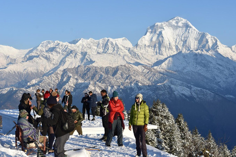 4 Tage Mohare Danda Trek von Pokhara aus