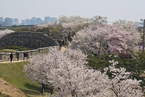 Unesco erfgoed, Suwon Hwaseong fort en Volksdorp