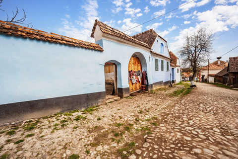 Saxon Villages Tour: Viscri, Rupea Fortress, Criț & Saschiz