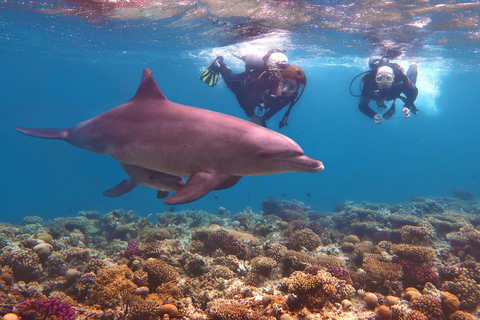 Hurghada: Luxury Red Sea Cruise with Snorkel, Dive & Buffet Snorkeling with Lunch & Transfers