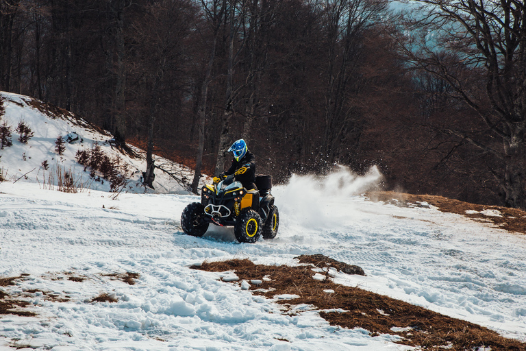 Busteni: Guided ATV Quad Bike Adventure