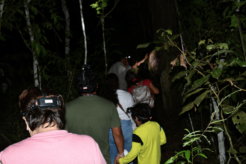 Tarapoto: Nachtwandeling in het Amazonewoud