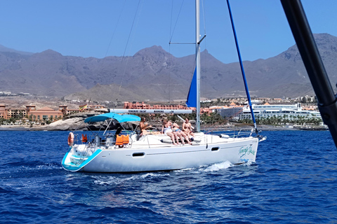 Boat Trip: Dolphin & Whale Watching Sailing Tour 11 Pax Max Boat Trip: Dolphin & Whale Watching Sailing Tour 11 Pax Max