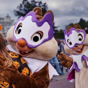 Disneyland® Paris 2/3/4-Day Ticket