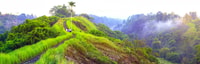 Passeggiata Campuhan Ridge di Ubud, un tour audio autoguidato - Hizvo