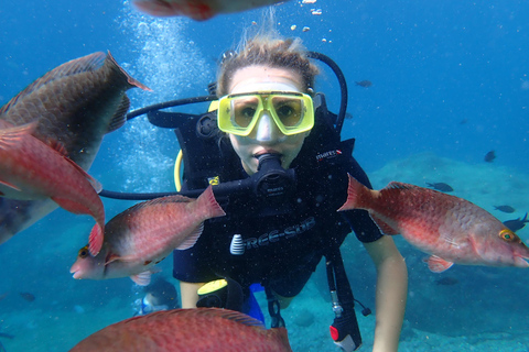 Alanya: PADI Discover Dive & Certified Training Options First Time Diving Option