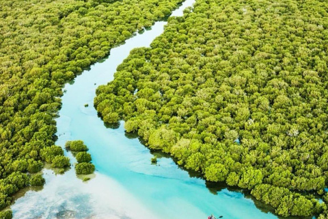 From Doha: Full-Day Tour to Qatar North and West From Doha: Full-Day Tour to Qatar North and West