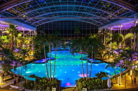 Бухарест, входной билет Therme Bucuresti с халатом - Housity