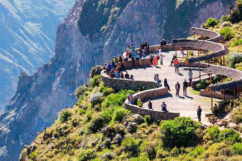 Excursion d&#039;une journée au Canyon de Colca + transfert à Puno avec repas