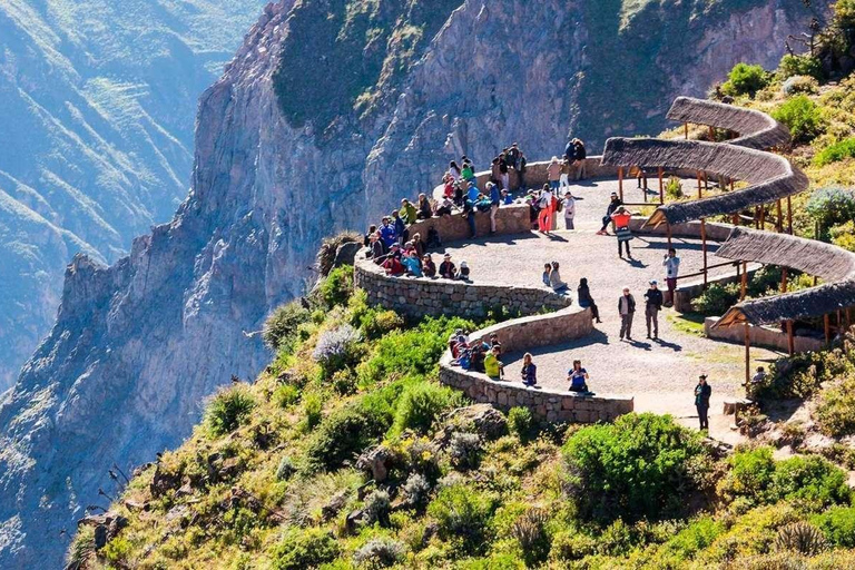 Excursion d&#039;une journée au Canyon de Colca + transfert à Puno avec repas