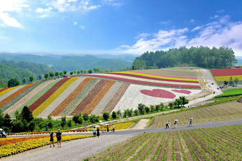 Furano & Biei Day Bus Tour | Farm Tomita + Shikisai-no-Oka Sapporo Tokyu REI Hotel Departure (No Meal)