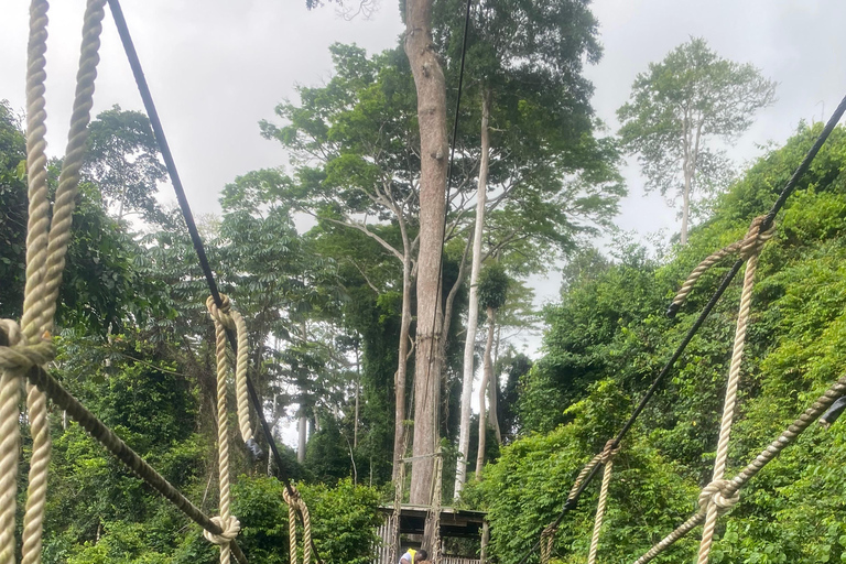 Kakum National Park & Elimina & Cape Coast Castle Day Tour