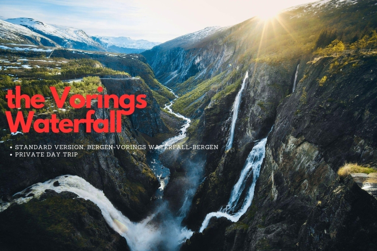 Chute d'eau de Vorings (la plus visitée de Norvège) : Excursion privée d'une journée